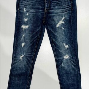 American Eagle Outfitters Dark Blue Distressed Jeggings